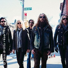 the dead daisies