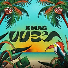 Vybe Festival