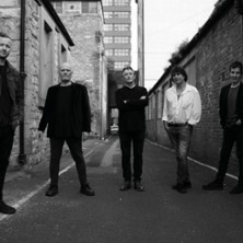 THE CHAMELEONS