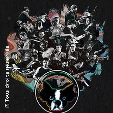 Snarky Puppy